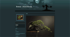 Desktop Screenshot of bonsaivigi.cz